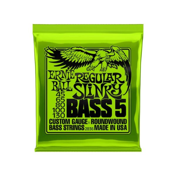 ernie-ball-regular-slinky-bass-5